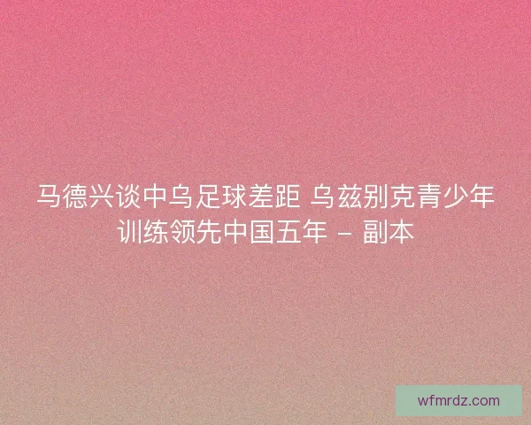 马德兴谈中乌足球差距 乌兹别克青少年训练领先中国五年 - 副本